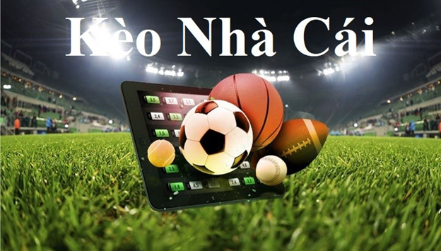 Cá Cược Bóng Đá Online Uy Tín Từ Chuyên Gia